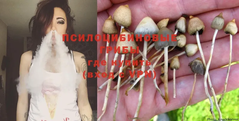 Псилоцибиновые грибы Magic Shrooms  мега ТОР  Горбатов  где купить наркотик 